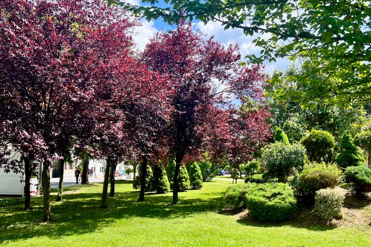 Park Bana Milosavljevića
