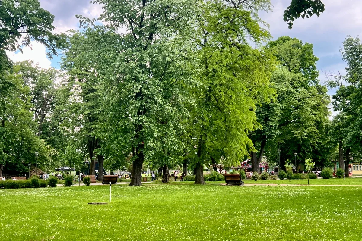 Park Mladen Stojanović