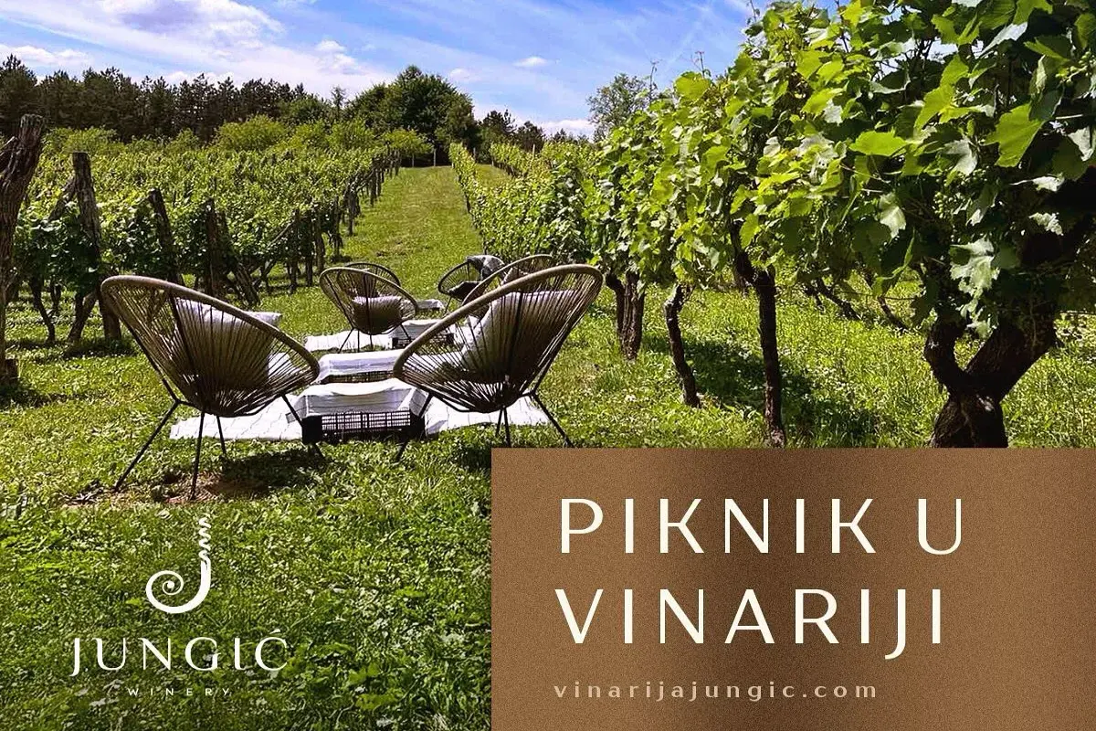 Vinarija Jungić