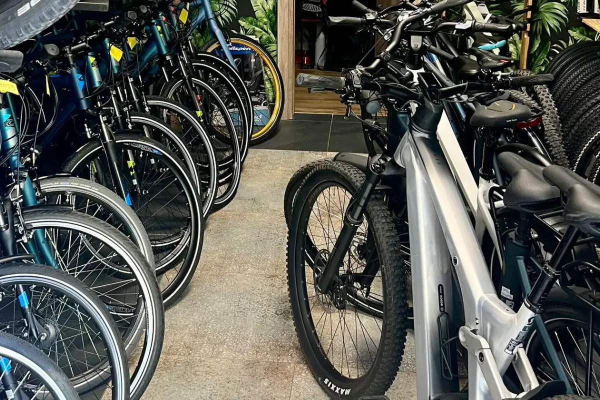 Soković Sport e-Bike