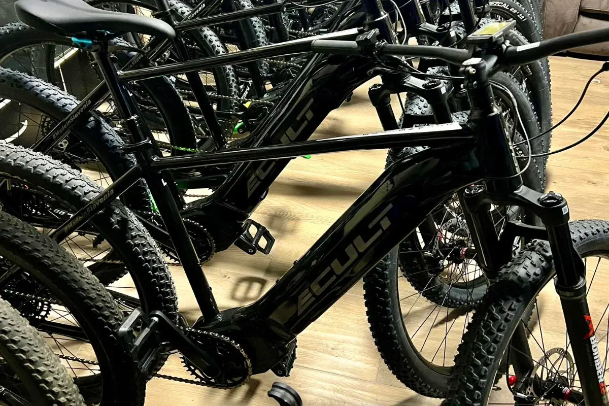 Soković Sport e-Bike