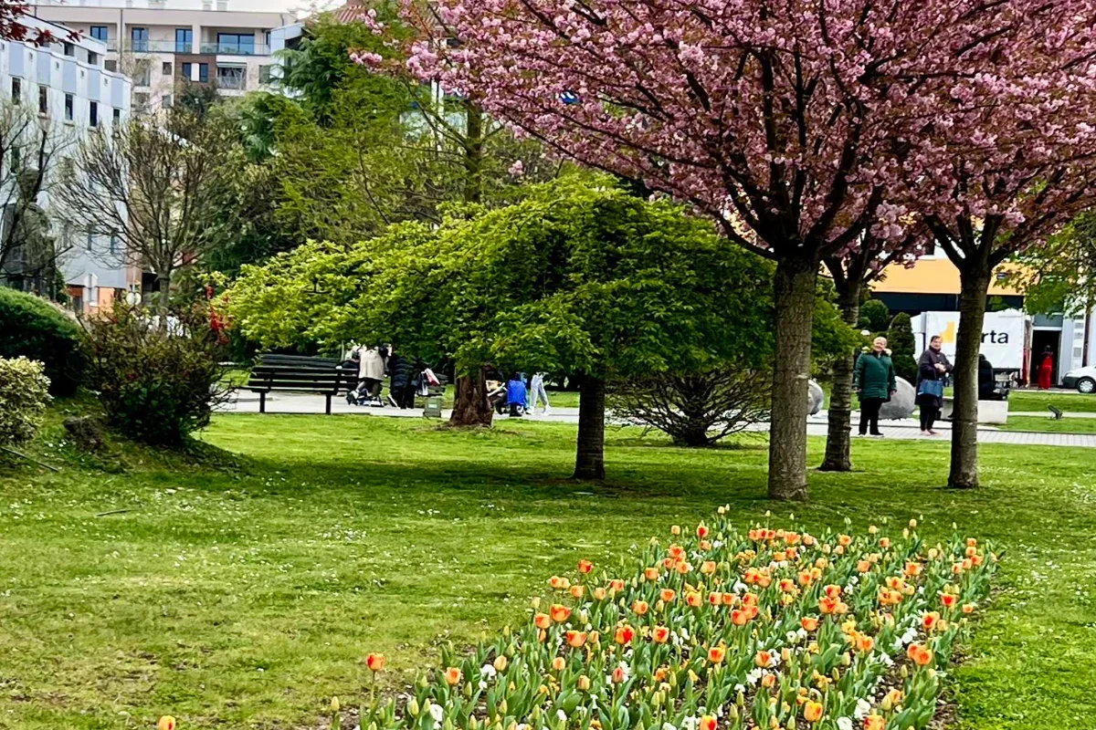 Park Bana Milosavljevića
