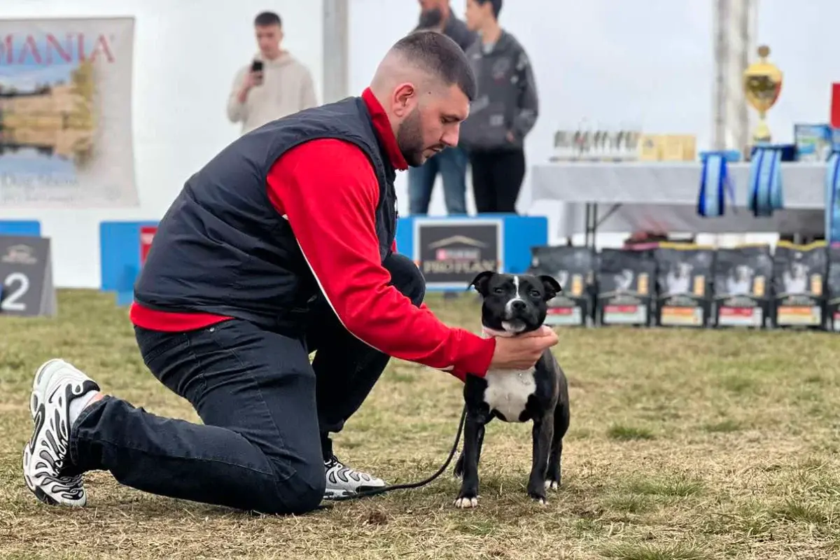 Format K9