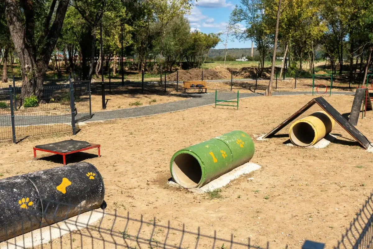 Dog Park