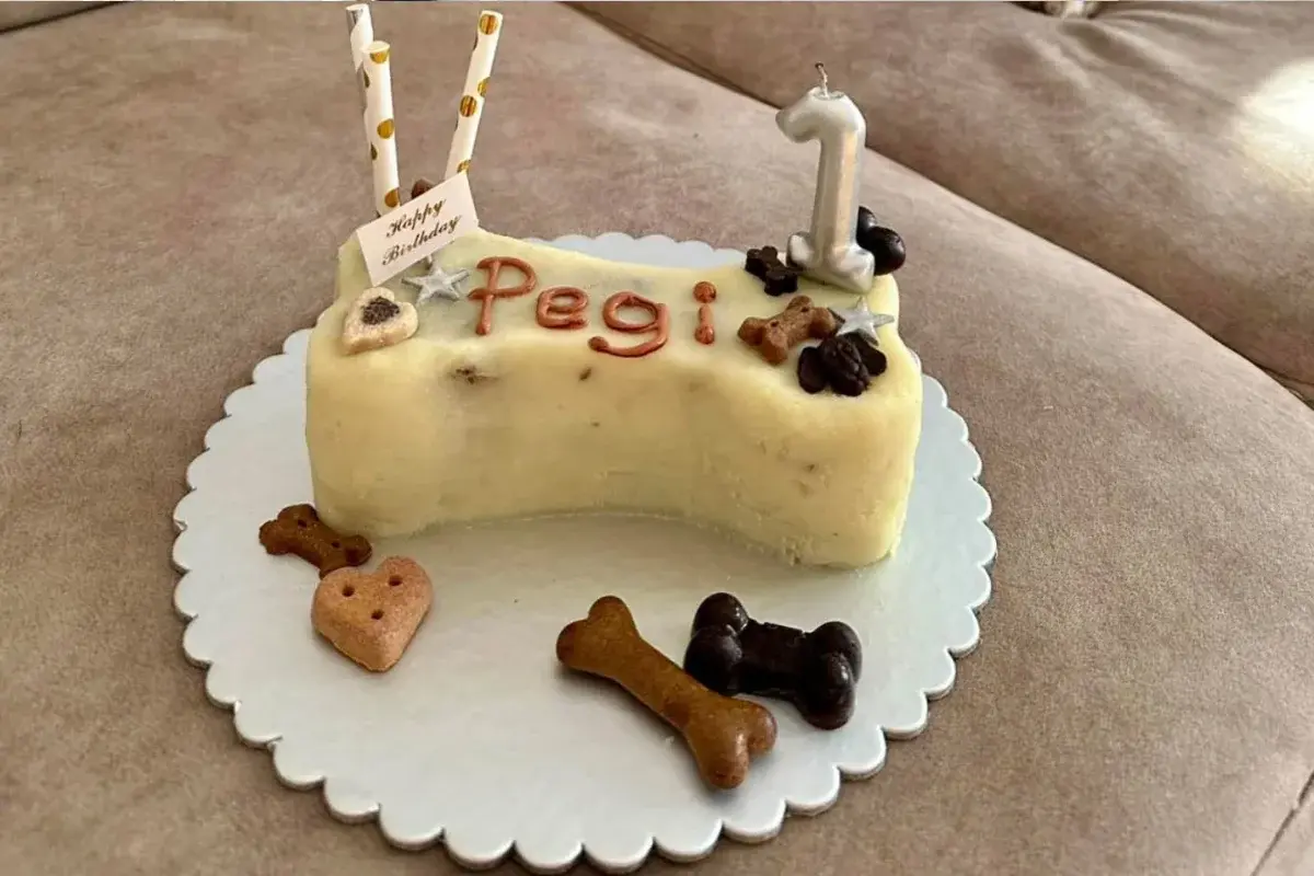 Torte za pse Banja Luka