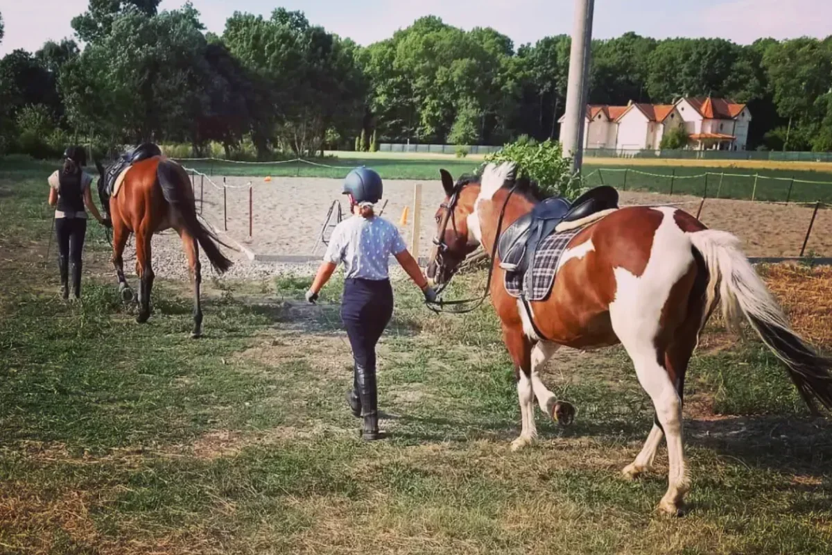 Konjički klub Kentaur