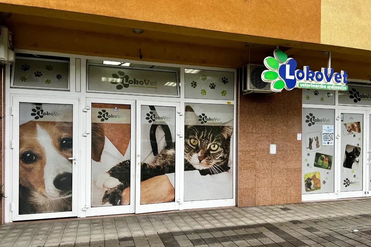 LokoVet Veterinarska ambulanta