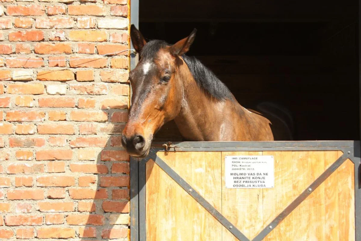 Konjički klub Kentaur