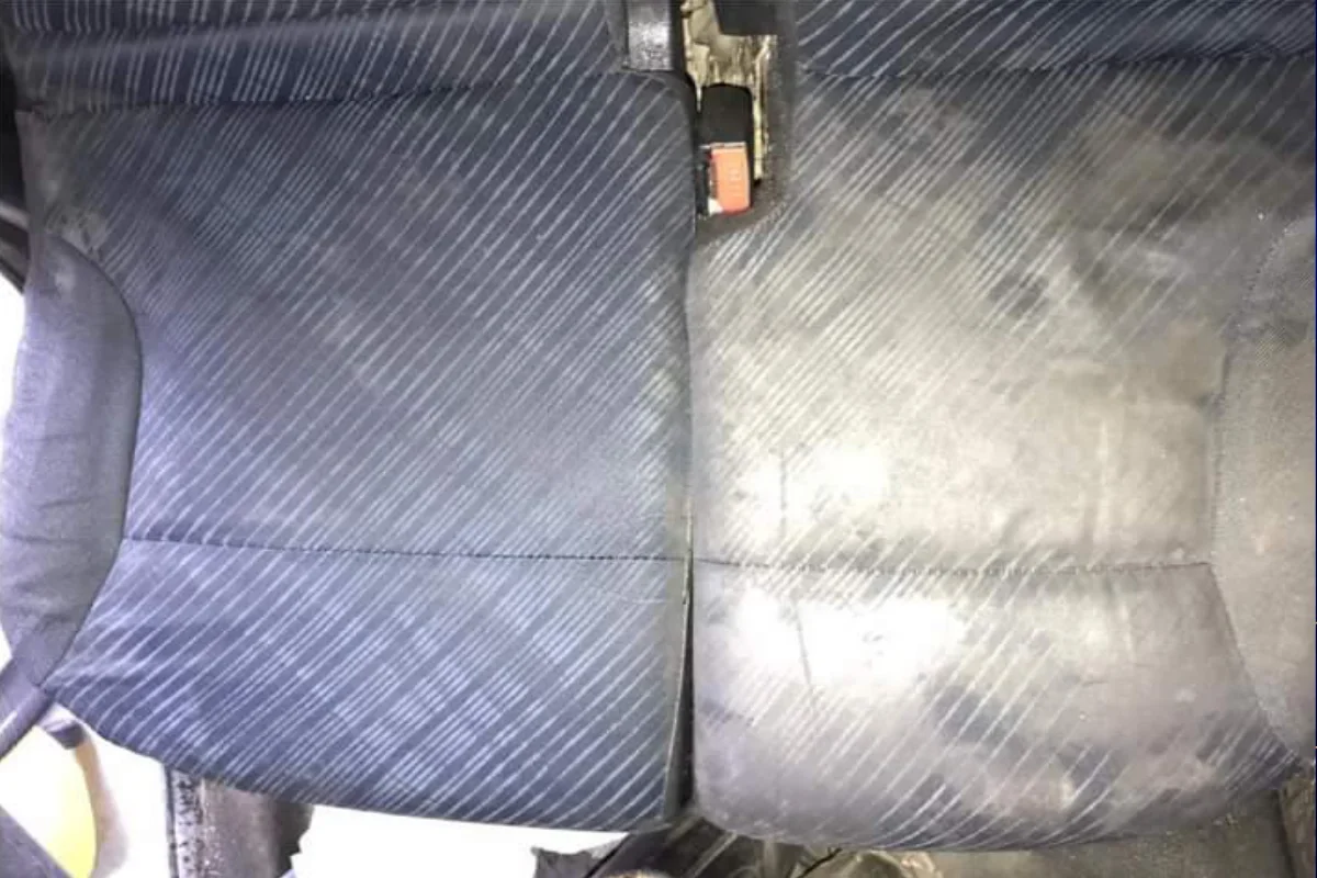 Dubinsko pranje i najam mašine Puzzi 10