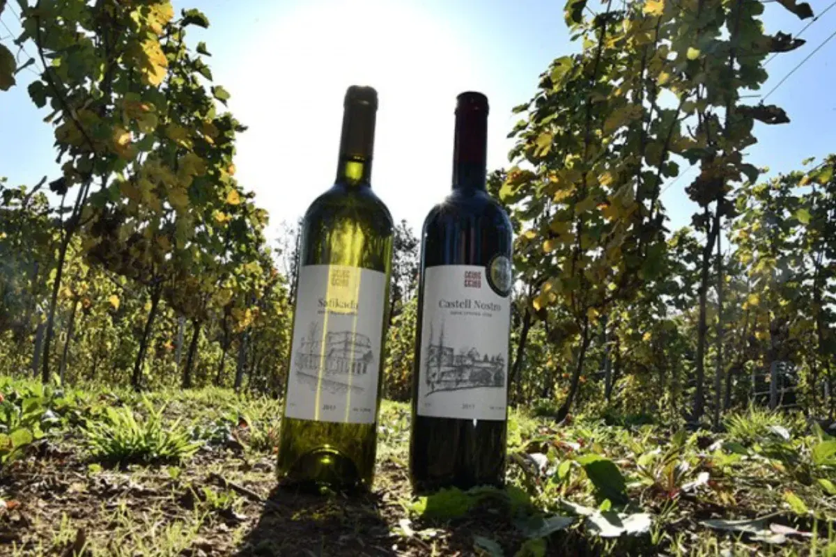 Vinarija Crveni Brijeg