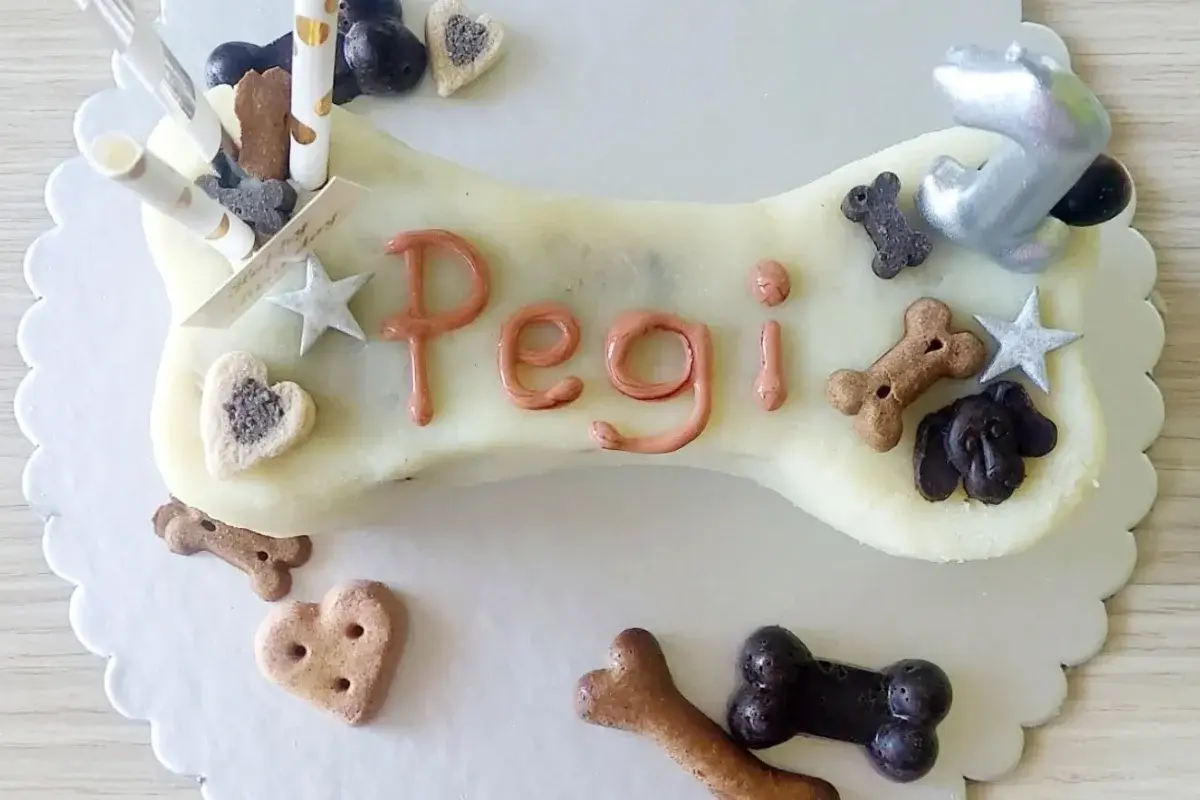 Torte za pse Banja Luka