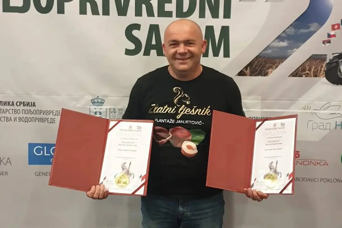 Zlatni lješnik - Plantaže Janjetović