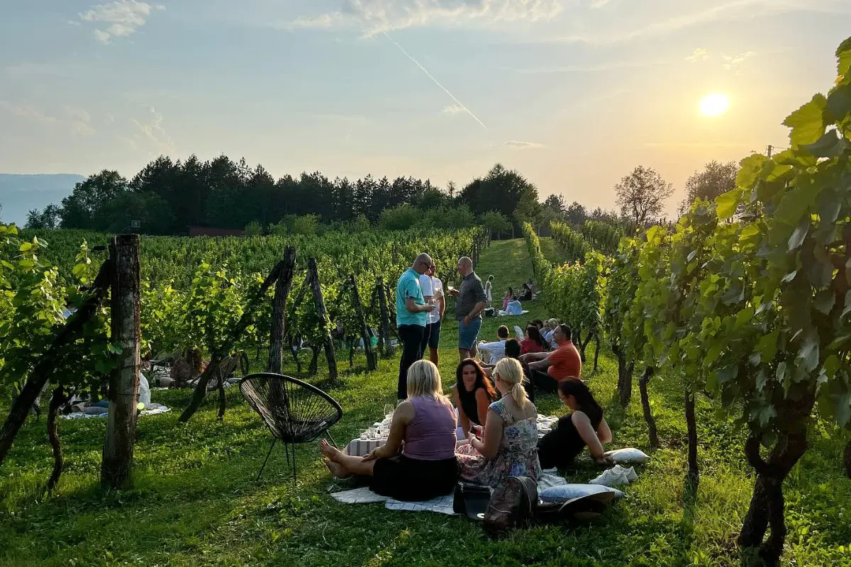 Vinarija Jungić