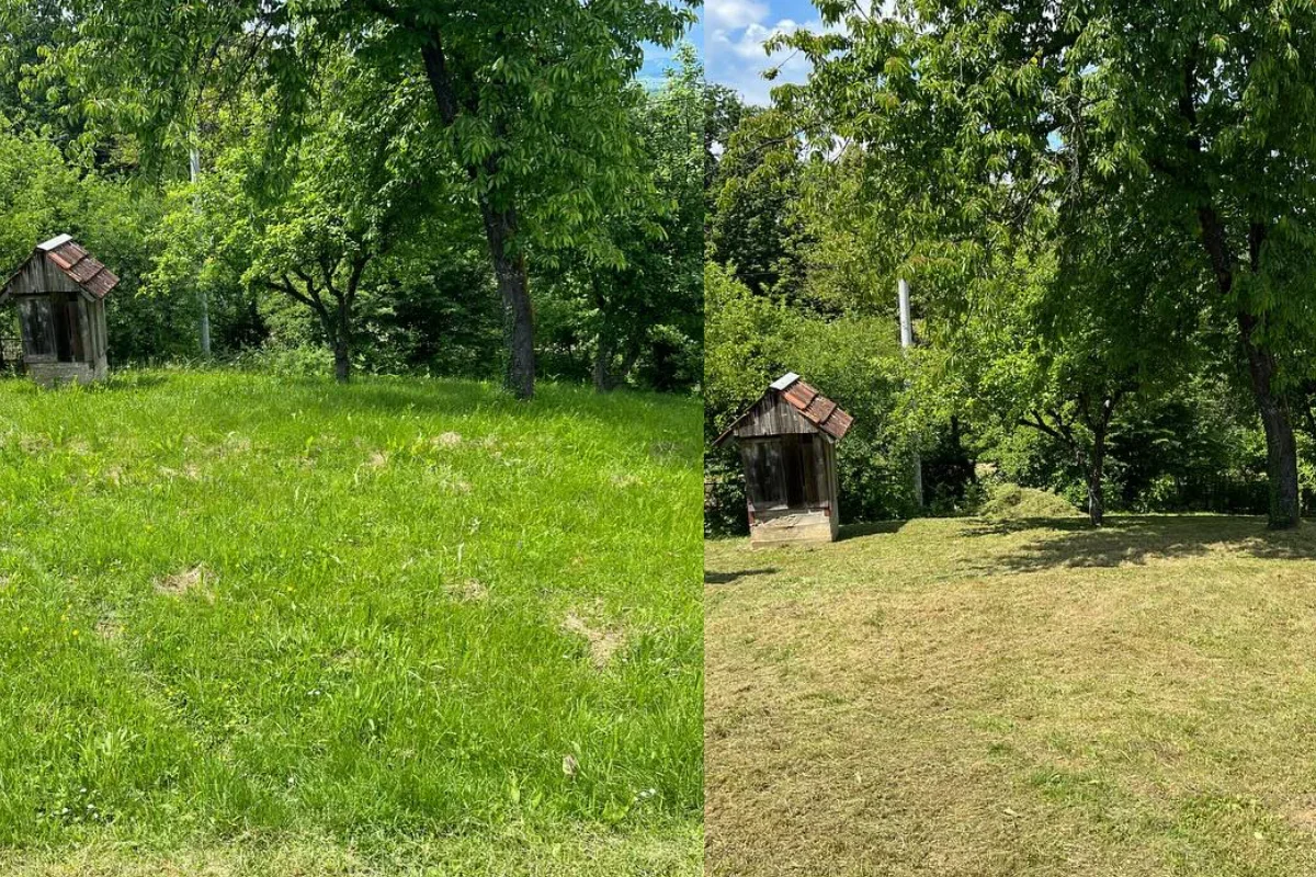 Košenje Trave Saša