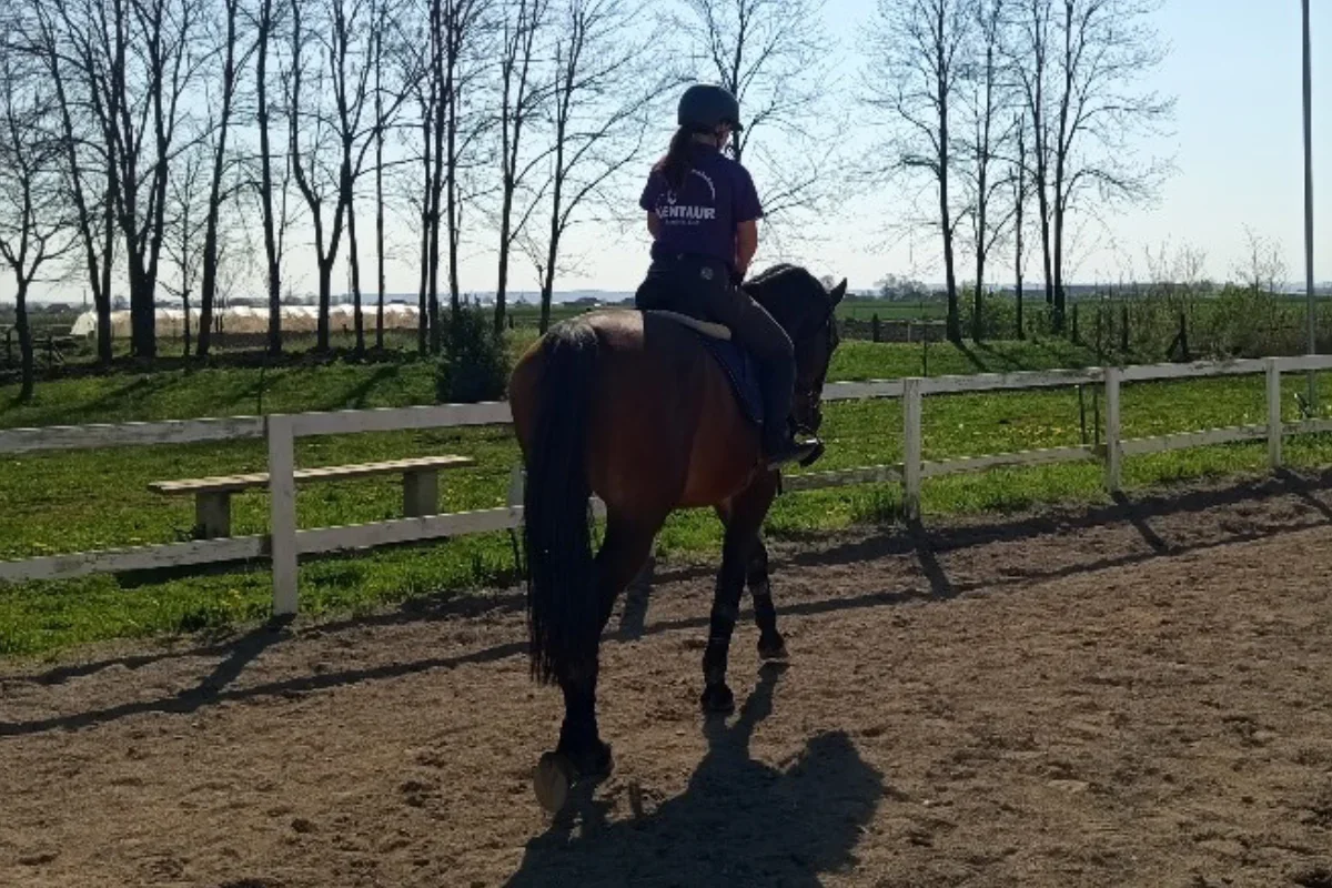 Konjički klub Kentaur