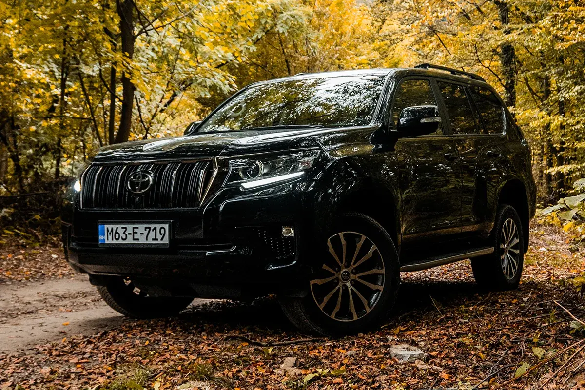 Express Cars Rent a Car