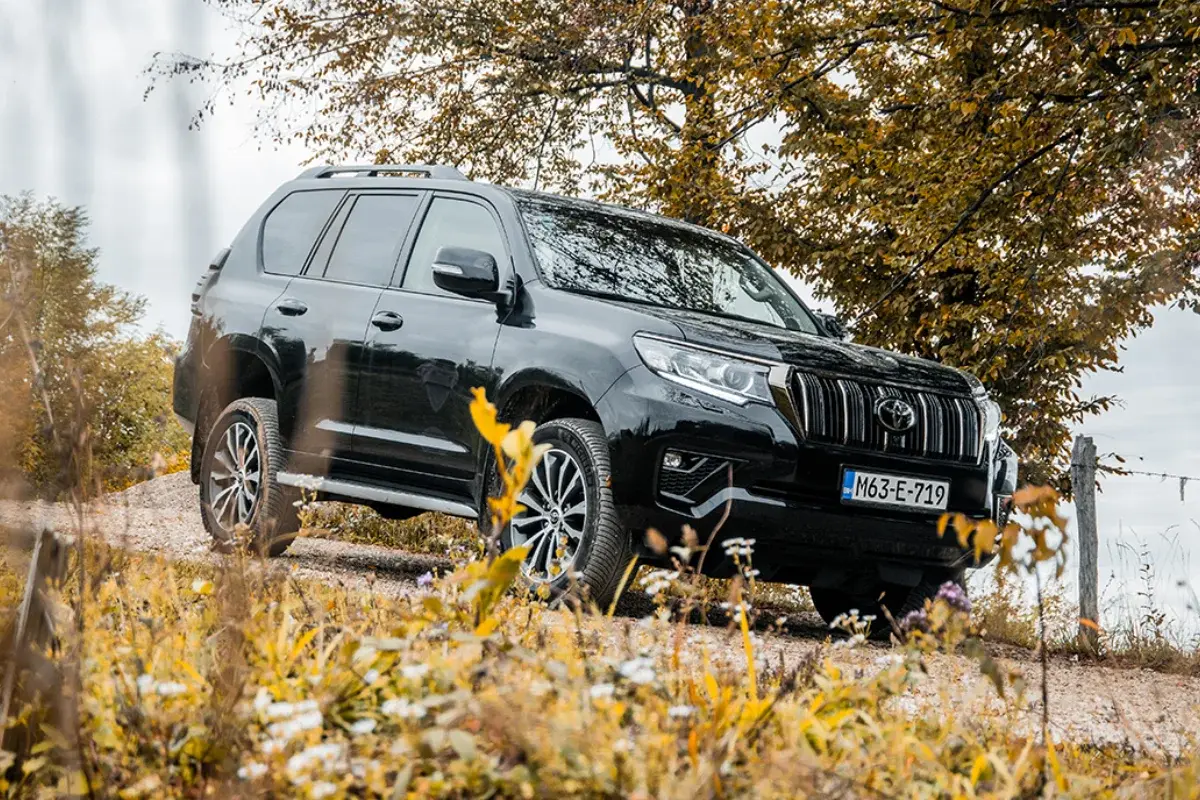 Express Cars Rent a Car