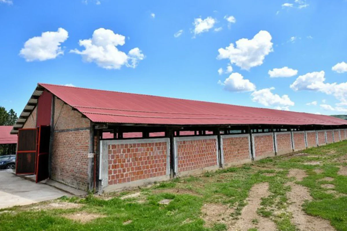 Azil Manjača - Prihvatilište za pse Banja Luka