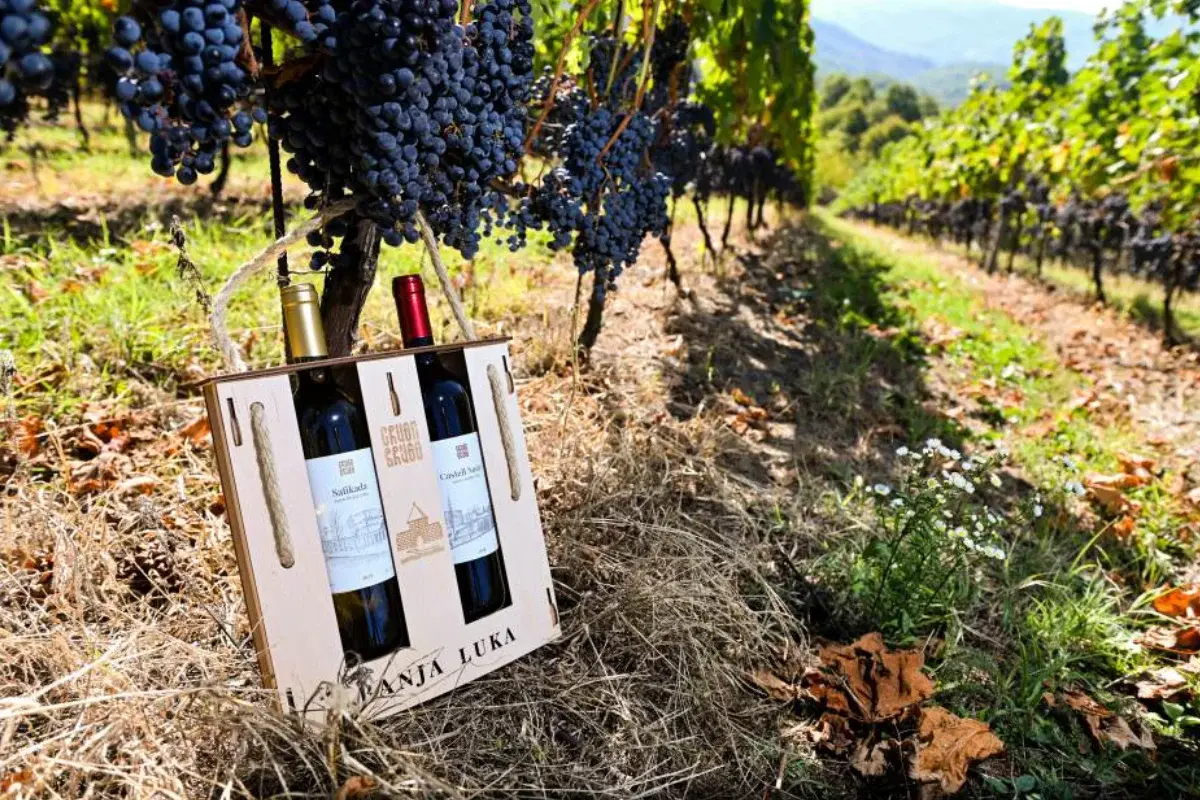 Vinarija Crveni Brijeg